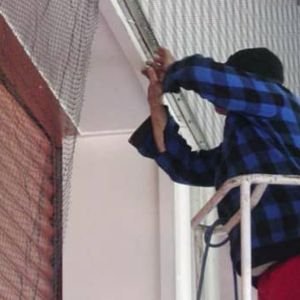 Product Image of Bird Protection Net in Rajkot